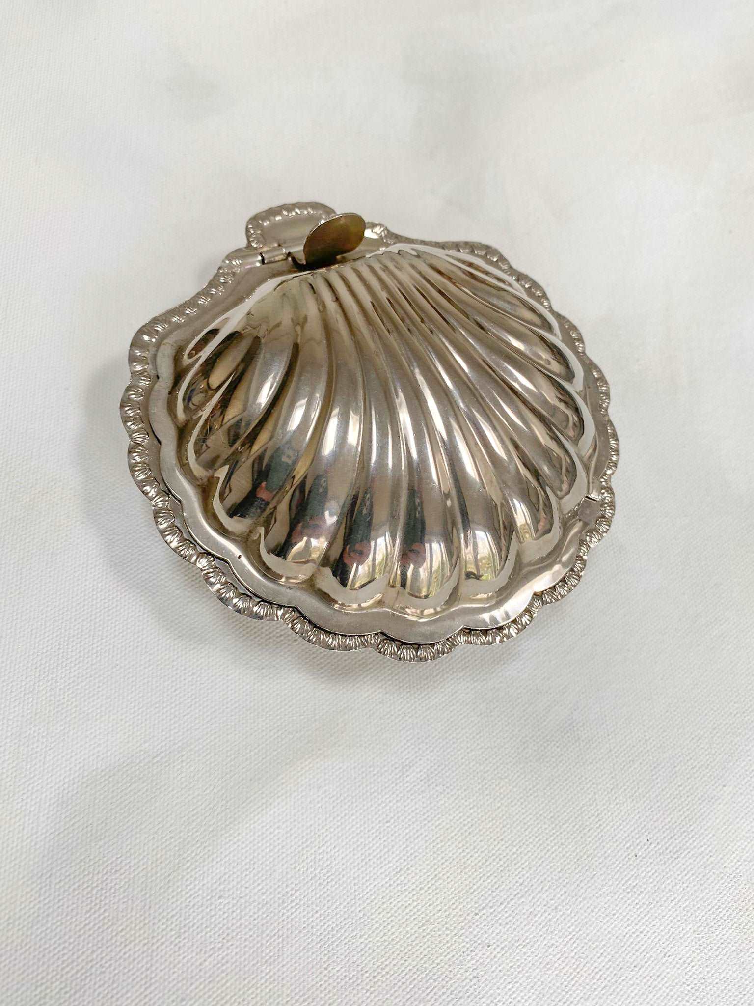 Hinged shell – The Curated Trove