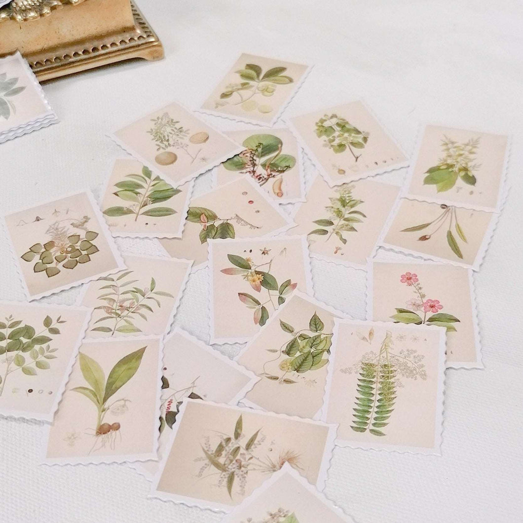 Botanical Illustrated Stamps